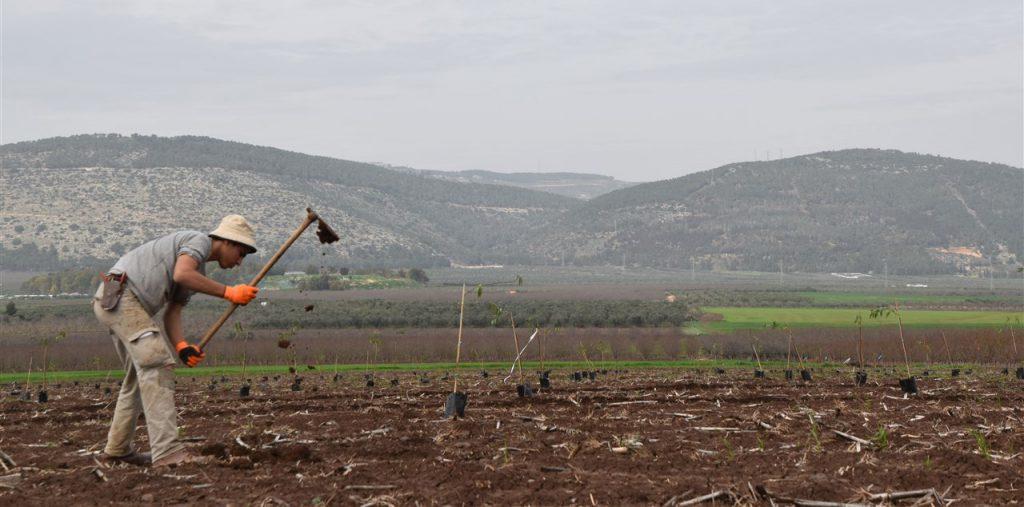 ישיבת רגבים בעמק