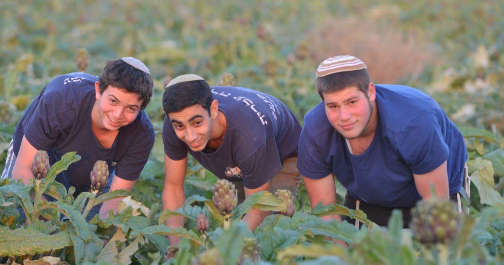 ישיבת רגבים בנגב
