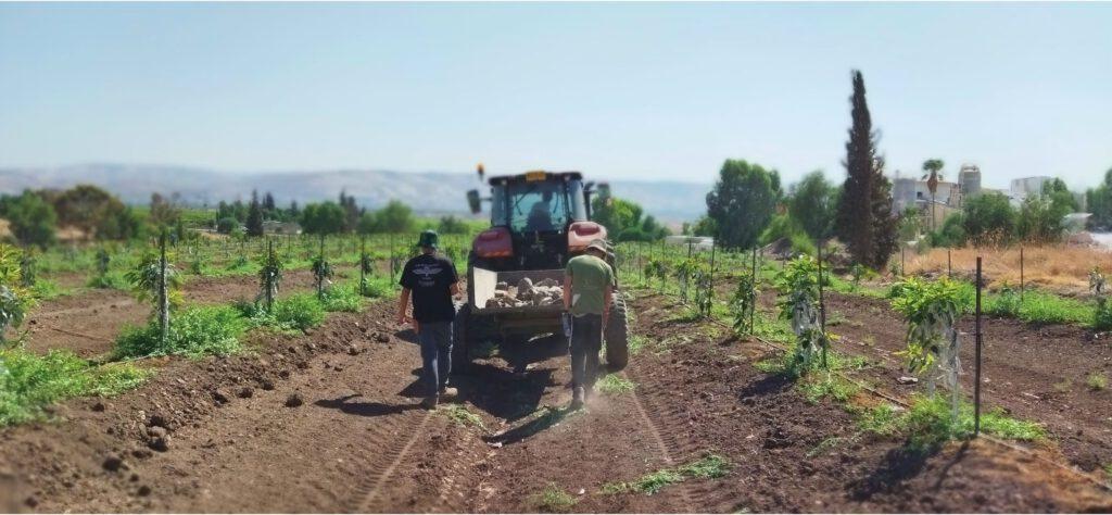 ישיבת רגבים כנרת